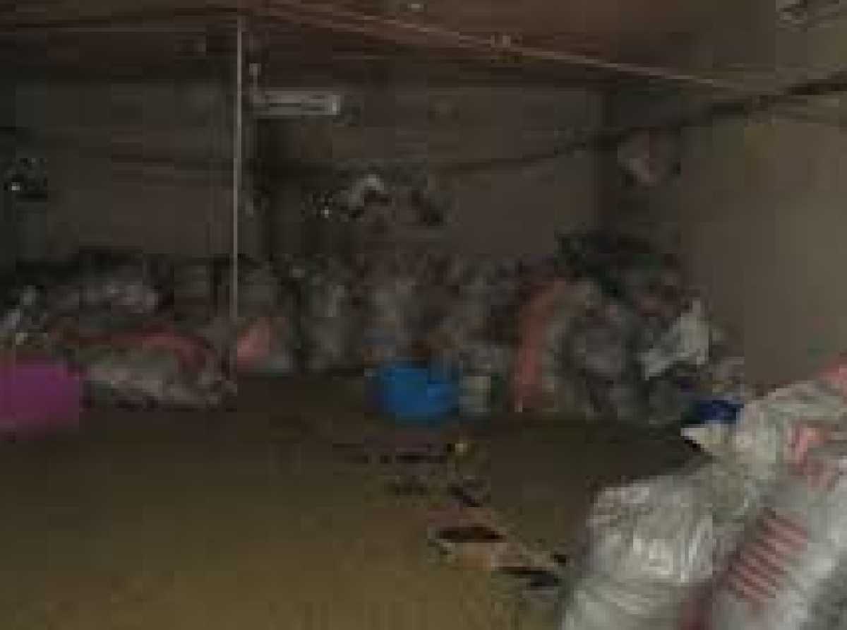 NACOC seizes 2.3 tonnes of suspected cannabis valued at GH¢1.18 million in Hohoe operation
